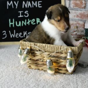 Hunter